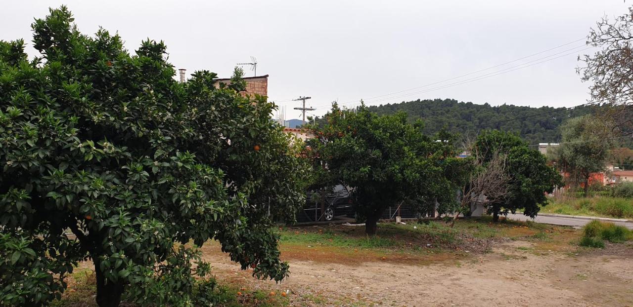 Walnut Home Apartment Near Ancient Olympia Kréstena Exterior foto